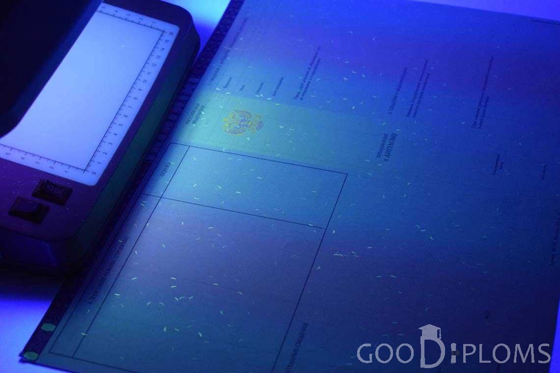 Приложение к Диплому Бакалавра с Отличием в Ультрафиолете период c 2013 по 2025 год - Одессу