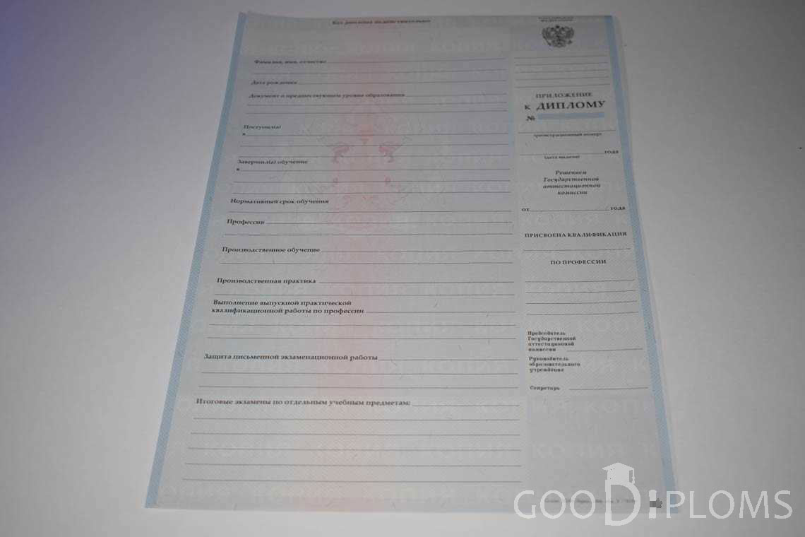 Приложение к Диплому Училища период выдачи 2007-2010  -  Одессу