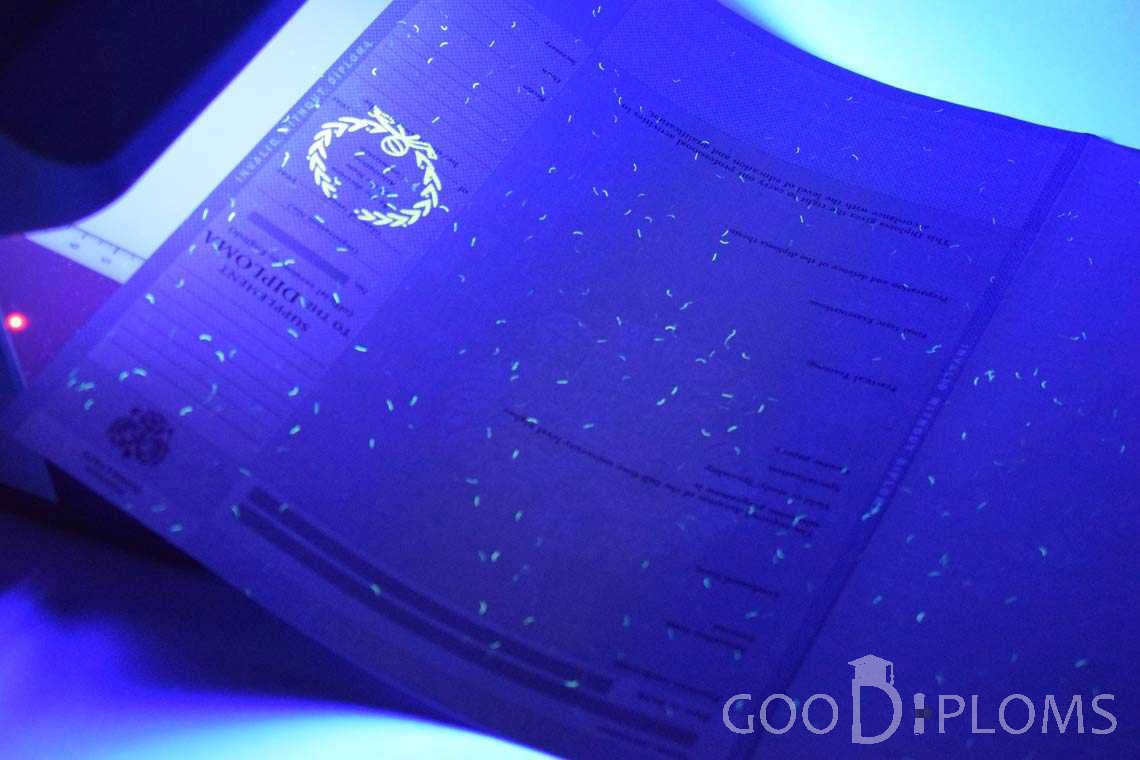 Приложение к Диплому Для Иностранных Граждан в Ультрафиолете - Одессу