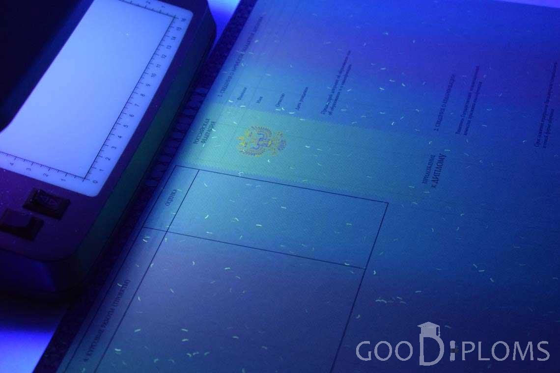 Приложение к Диплому о Высшем Образовании с Отличием в Ультрафиолете - Одессу